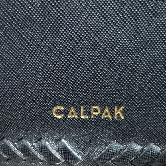 Calpak Black Backpack with Gold Zippers - Picture 3 of 6